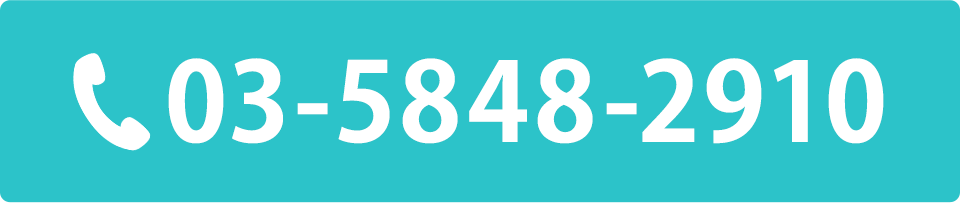 電話番号：03-5848-2910